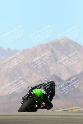 media/Jan-13-2024-SoCal Trackdays (Sat) [[9c032fe5aa]]/Turn 9 Backside (110pm)/